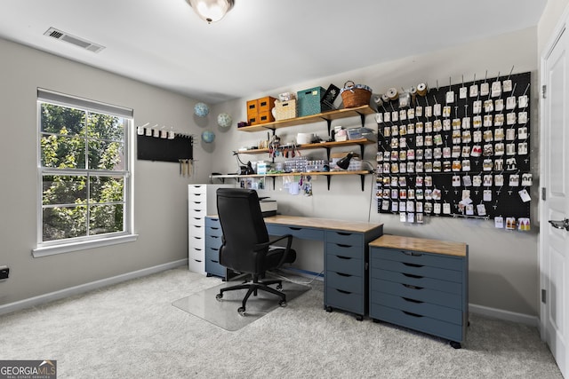 237 Parc Dr, Canton, GA 30114 - home office with light colored carpet