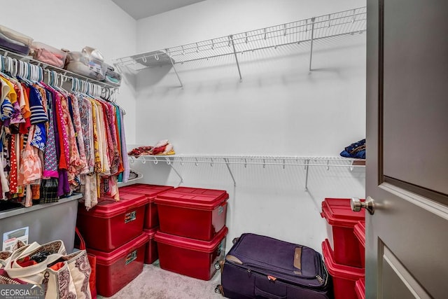 4565 Sims Park Overlook, Suwanee, GA 30024 - spacious closet with carpet