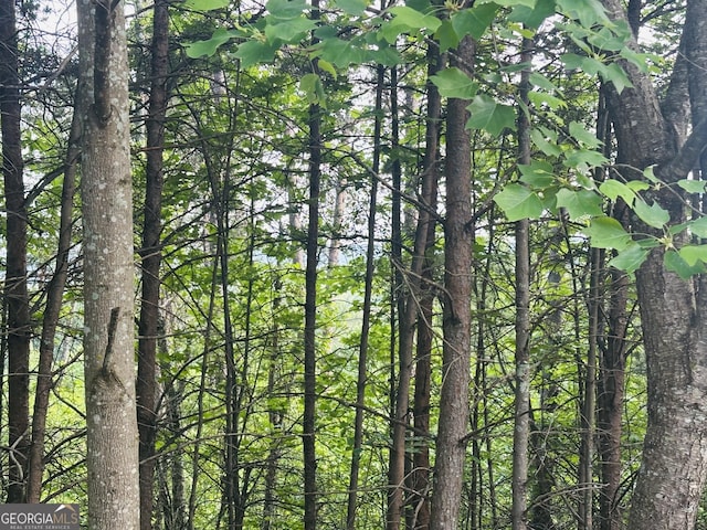 LOT30 Crown Mountain Way, Dahlonega, GA 30533