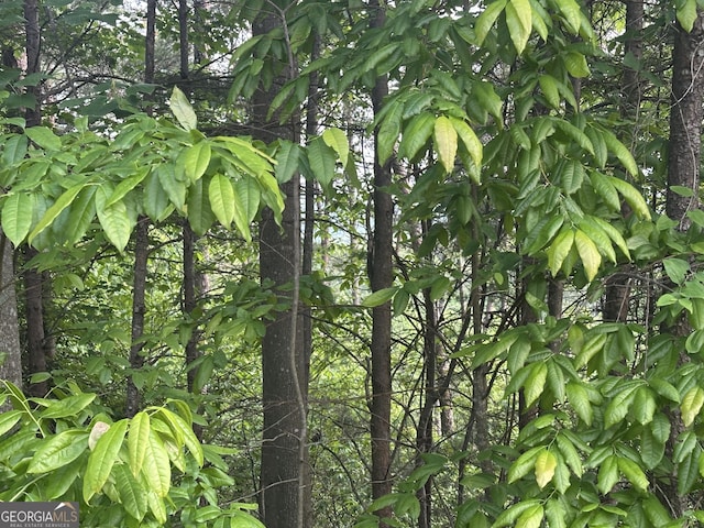 LOT30 Crown Mountain Way, Dahlonega, GA 30533