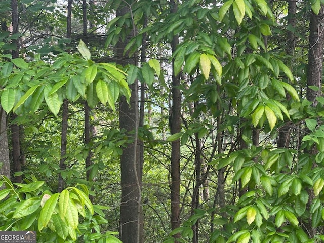 LOT28 Crown Mountain Way, Dahlonega, GA 30533
