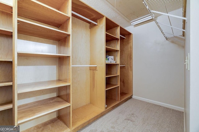 1282 Long Bridge Rd, Rincon, GA 31326 - walk in closet with carpet flooring