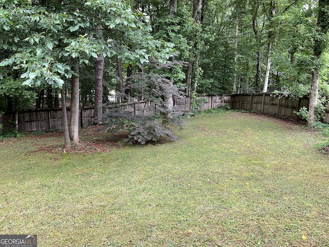 170 Beatrice St, Dallas, GA 30157 - view of yard