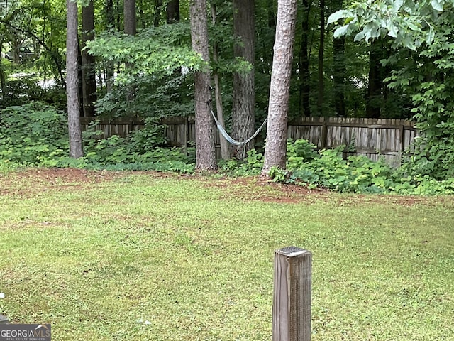 170 Beatrice St, Dallas, GA 30157 - view of yard