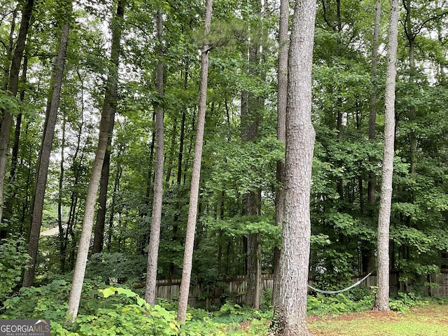170 Beatrice St, Dallas, GA 30157 - view of woods