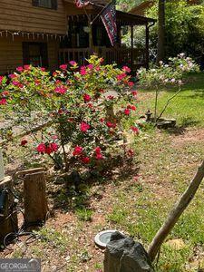 170 Beatrice St, Dallas, GA 30157 - view of yard