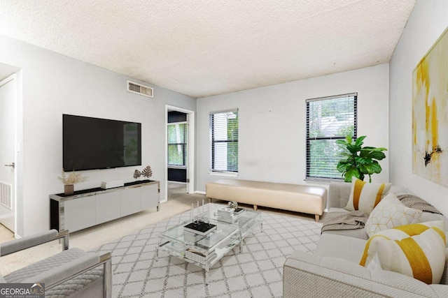 1818 Huntingdon Chase, Atlanta, GA 30350 - carpeted living area with a textured ceiling