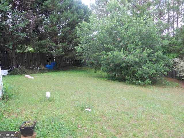4032 Ward Lake Trl, Ellenwood, GA 30294 - view of yard