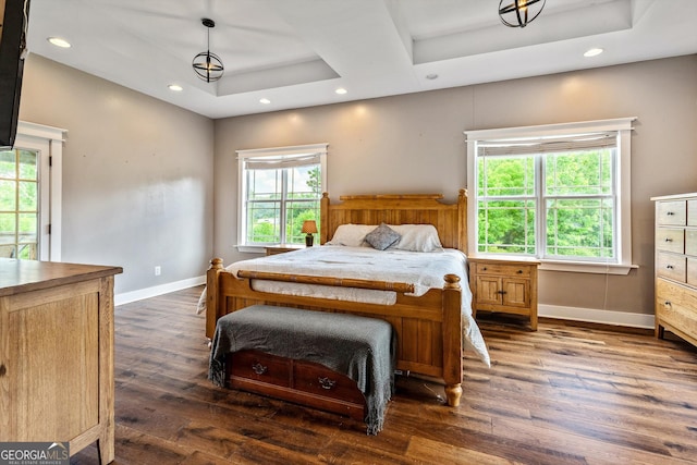 68 Riveree Rd, Brooks, GA 30205 - bedroom with wood finished floors, recessed lighting, baseboards, and a tray ceiling