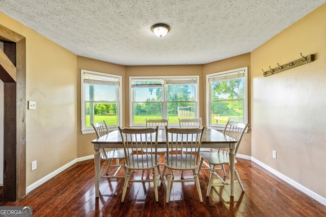 68 Riveree Rd, Brooks, GA 30205 - dining area with wood-type flooring, healthy amount of natural light, and a textured ceiling