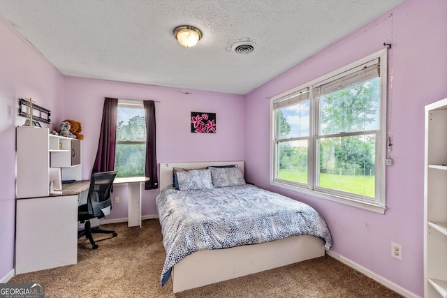 68 Riveree Rd, Brooks, GA 30205 - bedroom featuring multiple windows, carpet floors, a desk, and a textured ceiling