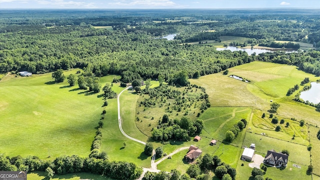 68 Riveree Rd, Brooks, GA 30205 - bird's eye view of a large body of water
