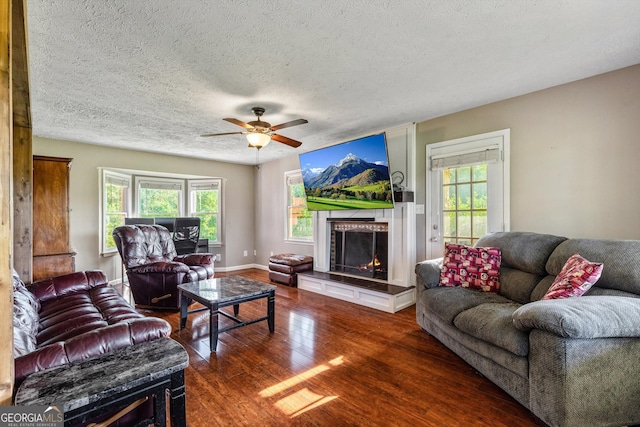 68 Riveree Rd, Brooks, GA 30205 - living area featuring wood finished floors, a textured ceiling, healthy amount of natural light, a lit fireplace, and a ceiling fan