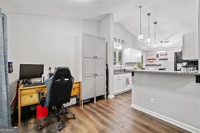 10650 Colony Glen Dr, Johns Creek, GA 30022 - office featuring a sink, lofted ceiling, and dark wood-type flooring