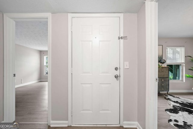 705 Beaufort Cir, Duluth, GA 30096 - entrance foyer featuring baseboards, wood finished floors, and a textured ceiling