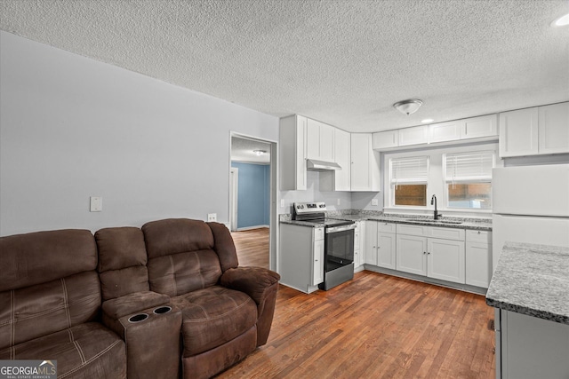 423 Clifton Ter, Carrollton, GA 30117 - kitchen featuring stainless steel electric range oven, under cabinet range hood, open floor plan, a sink, and freestanding refrigerator