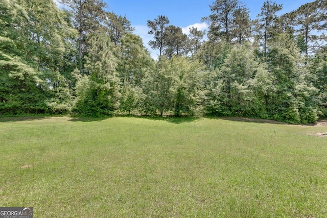 543 Serene Waters Trl, Jonesboro, GA 30236 - view of grassy yard