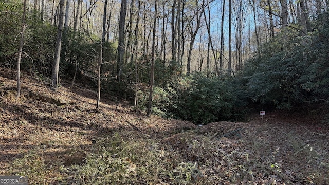 0 Goshen Rd, Clarkesville, GA 30523