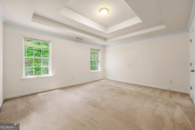 85 Old Gettysburg Way, Dallas, GA 30157 - empty room featuring a tray ceiling, ornamental molding, healthy amount of natural light, carpet flooring, and a textured ceiling