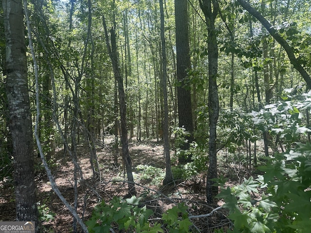 0 Rocky Knob Rd, Sylvania, GA 30467