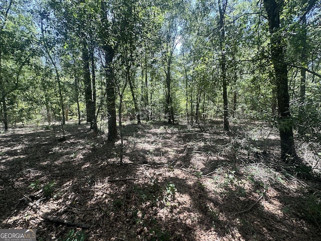 0 Rocky Knob Rd, Sylvania, GA 30467