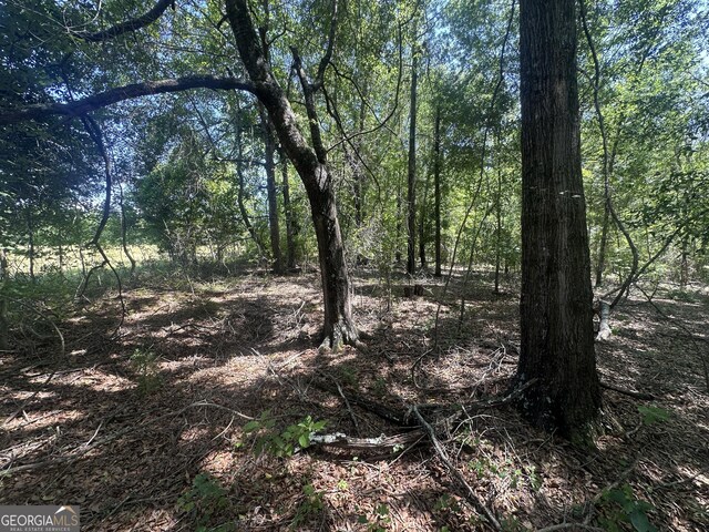 0 Rocky Knob Rd, Sylvania, GA 30467