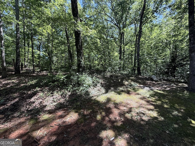 261 Sally Duke Dr, Whitesburg, GA 30185 - view of wooded area