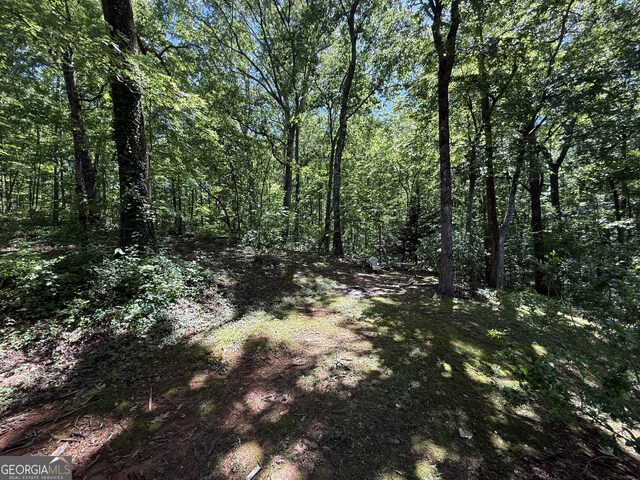 261 Sally Duke Dr, Whitesburg, GA 30185 - view of woods