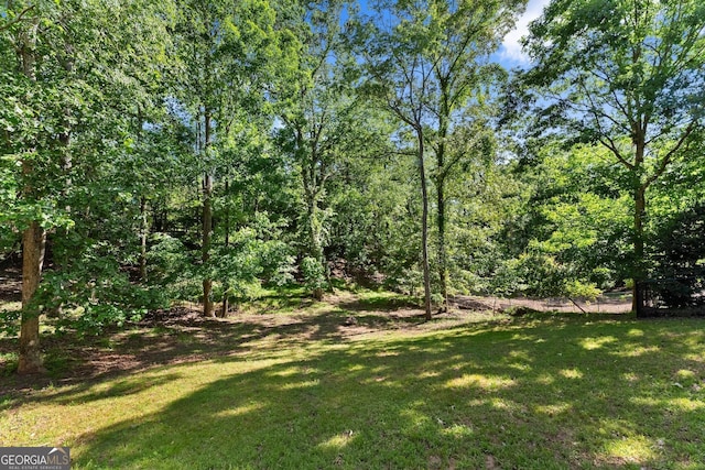 5995 Wellington Ave, Gainesville, GA 30506 - view of grassy yard
