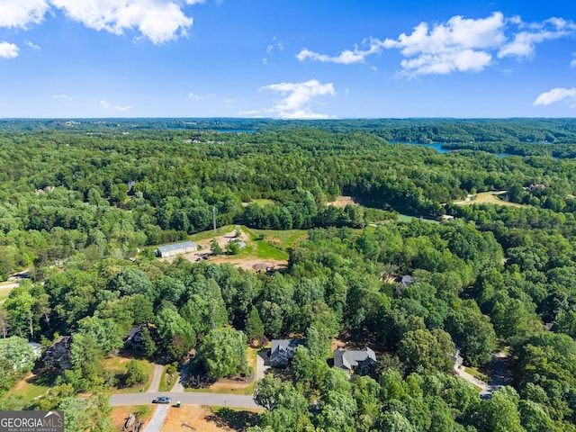 5995 Wellington Ave, Gainesville, GA 30506 - view of property location with a forest