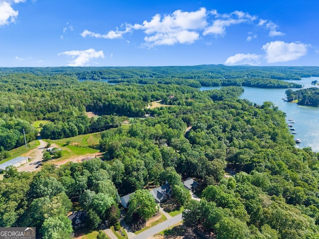 5995 Wellington Ave, Gainesville, GA 30506 - drone / aerial view of a forest and a nearby body of water
