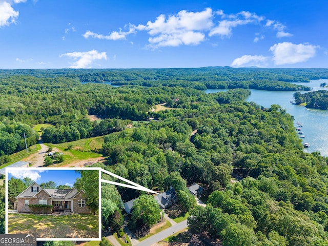 5995 Wellington Ave, Gainesville, GA 30506 - aerial overview of property's location featuring a heavily wooded area, a nearby body of water, and property parcel outlined