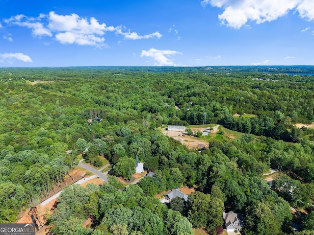 5995 Wellington Ave, Gainesville, GA 30506 - view of property location featuring a forest