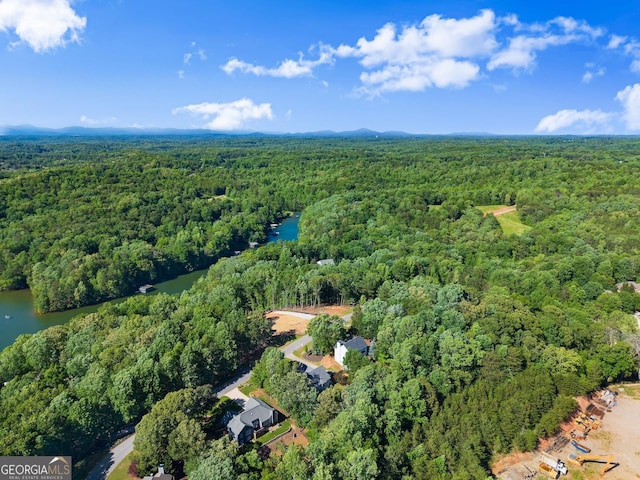 5995 Wellington Ave, Gainesville, GA 30506 - view of property location with a heavily wooded area and a nearby body of water
