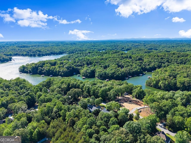 5995 Wellington Ave, Gainesville, GA 30506 - aerial view of a forest and a nearby body of water