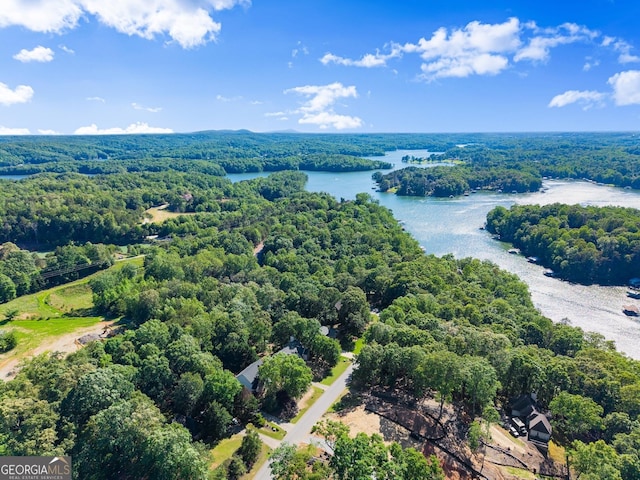 5995 Wellington Ave, Gainesville, GA 30506 - aerial view of a forest and a nearby body of water