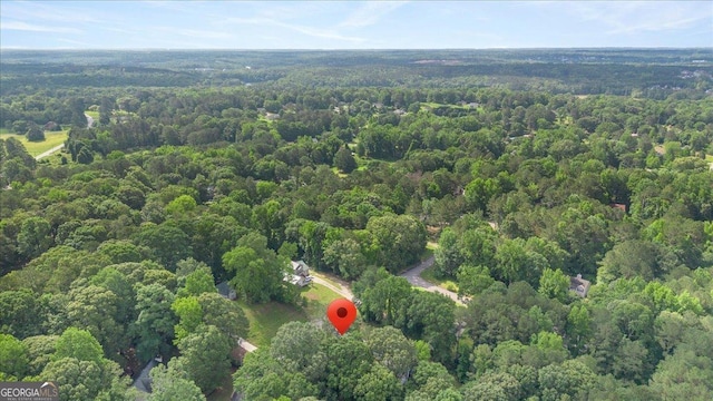160 Country Mill Ln, Stockbridge, GA 30281 - view of property location with a heavily wooded area