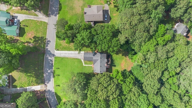 160 Country Mill Ln, Stockbridge, GA 30281 - aerial view of property's location