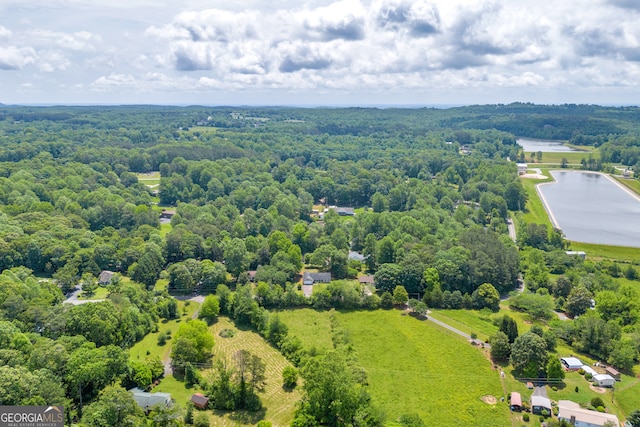 464 Old Camp Creek Rd, Cornelia, GA 30531 - aerial view of a forest