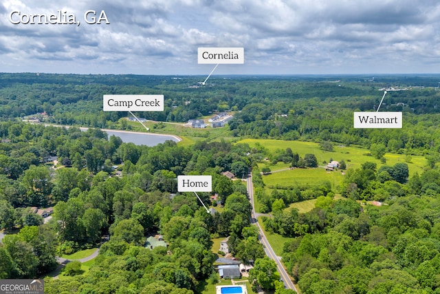 464 Old Camp Creek Rd, Cornelia, GA 30531 - aerial view of a forest