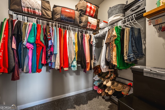 881 Ash St, Canton, GA 30114 - walk in closet with carpet flooring