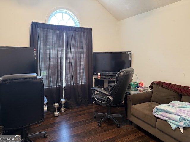 1432 Eagles Nest Cir, Carrollton, GA 30116 - office space featuring wood finished floors and lofted ceiling