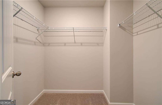2525 Dixon Pl, Lawrenceville, GA 30045 - walk in closet featuring carpet flooring