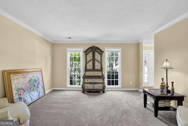 985 Laurel Springs Ln, Marietta, GA 30064 - living room featuring carpet floors, crown molding, and a textured ceiling