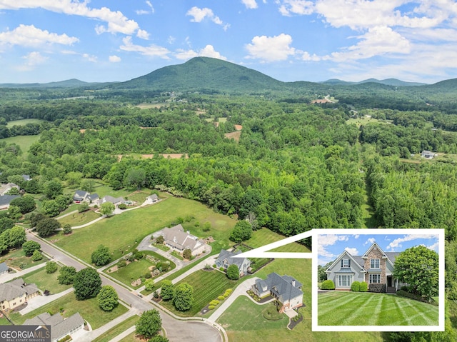 541 Brown Dr, Clermont, GA 30527 - bird's eye view of mountains and a heavily wooded area