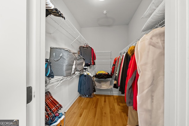 541 Brown Dr, Clermont, GA 30527 - spacious closet featuring wood finished floors