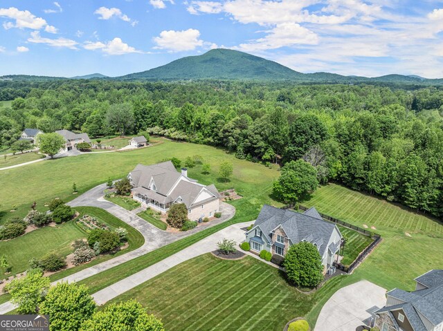 541 Brown Dr, Clermont, GA 30527 - bird's eye view of a forest and mountains