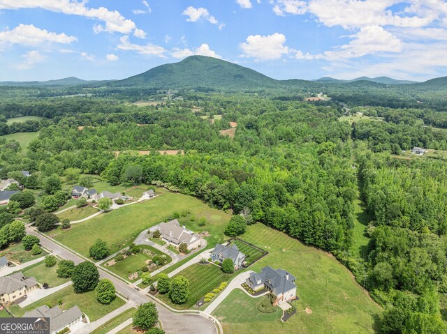 541 Brown Dr, Clermont, GA 30527 - view of property location with a forest and a mountain backdrop
