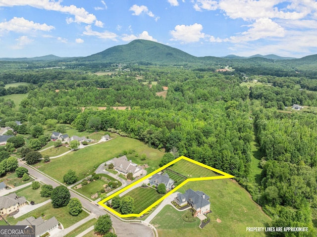 541 Brown Dr, Clermont, GA 30527 - aerial view of property and surrounding area with a mountainous background, a forest, and property parcel outlined
