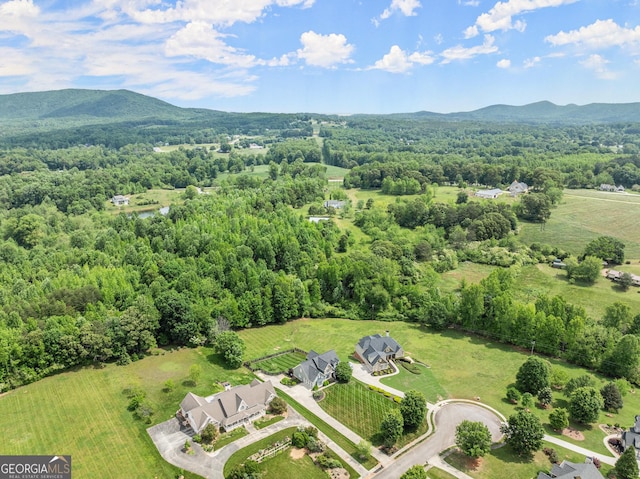 541 Brown Dr, Clermont, GA 30527 - bird's eye view of a forest and a mountain backdrop